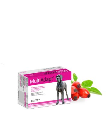 Multi Adapt