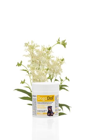 DogoDol 45